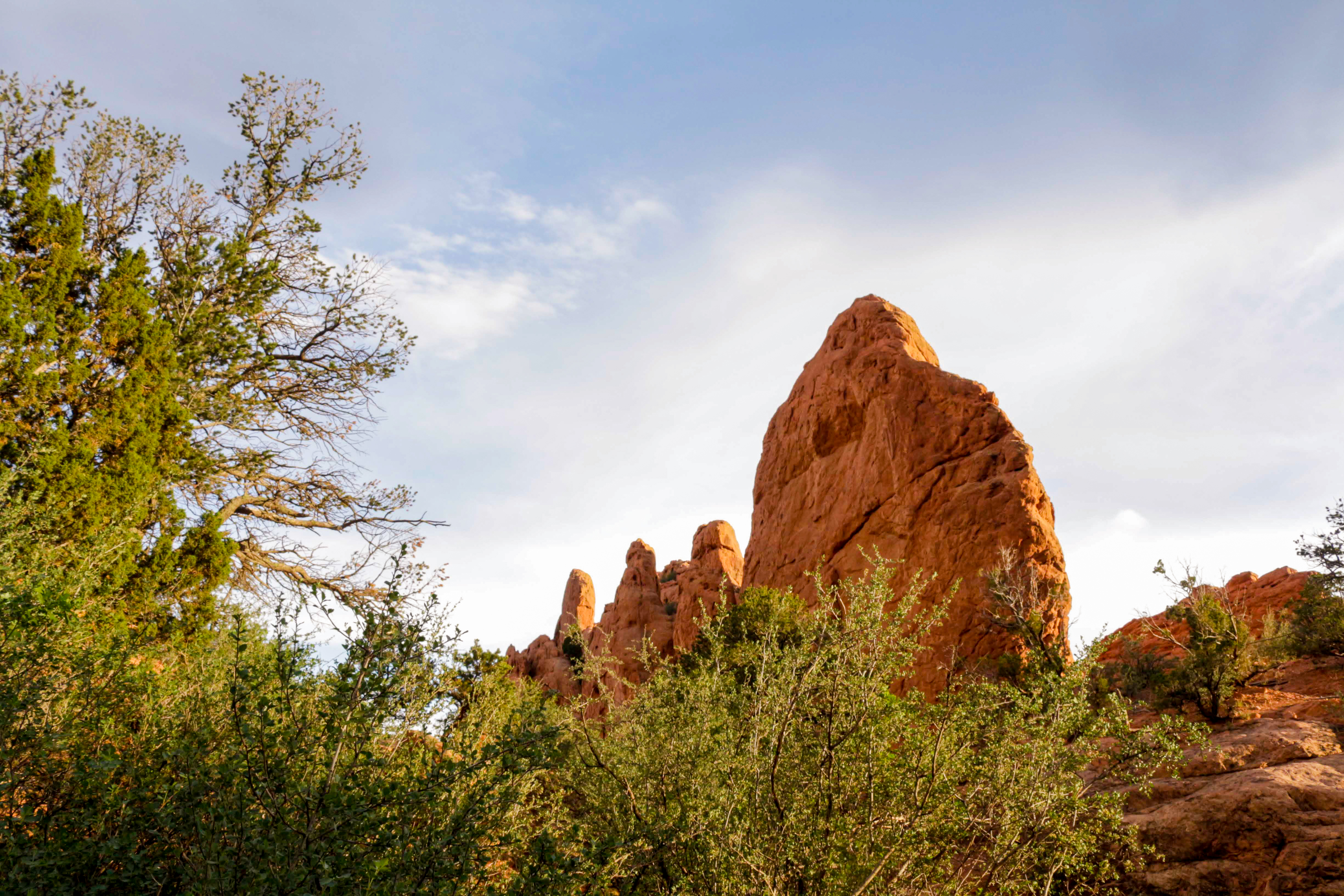 Garden of The Gods