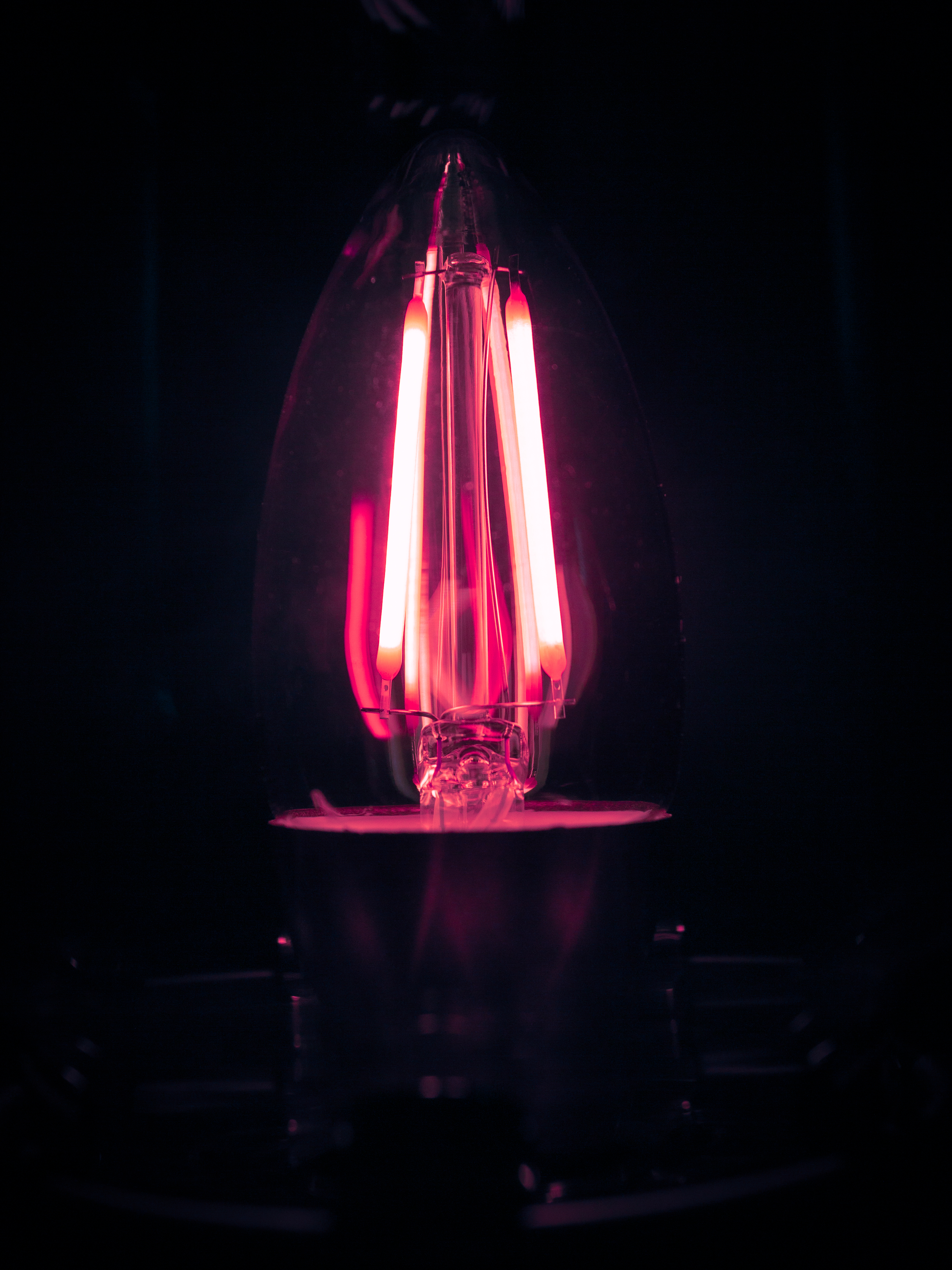 Pink Lightbulb